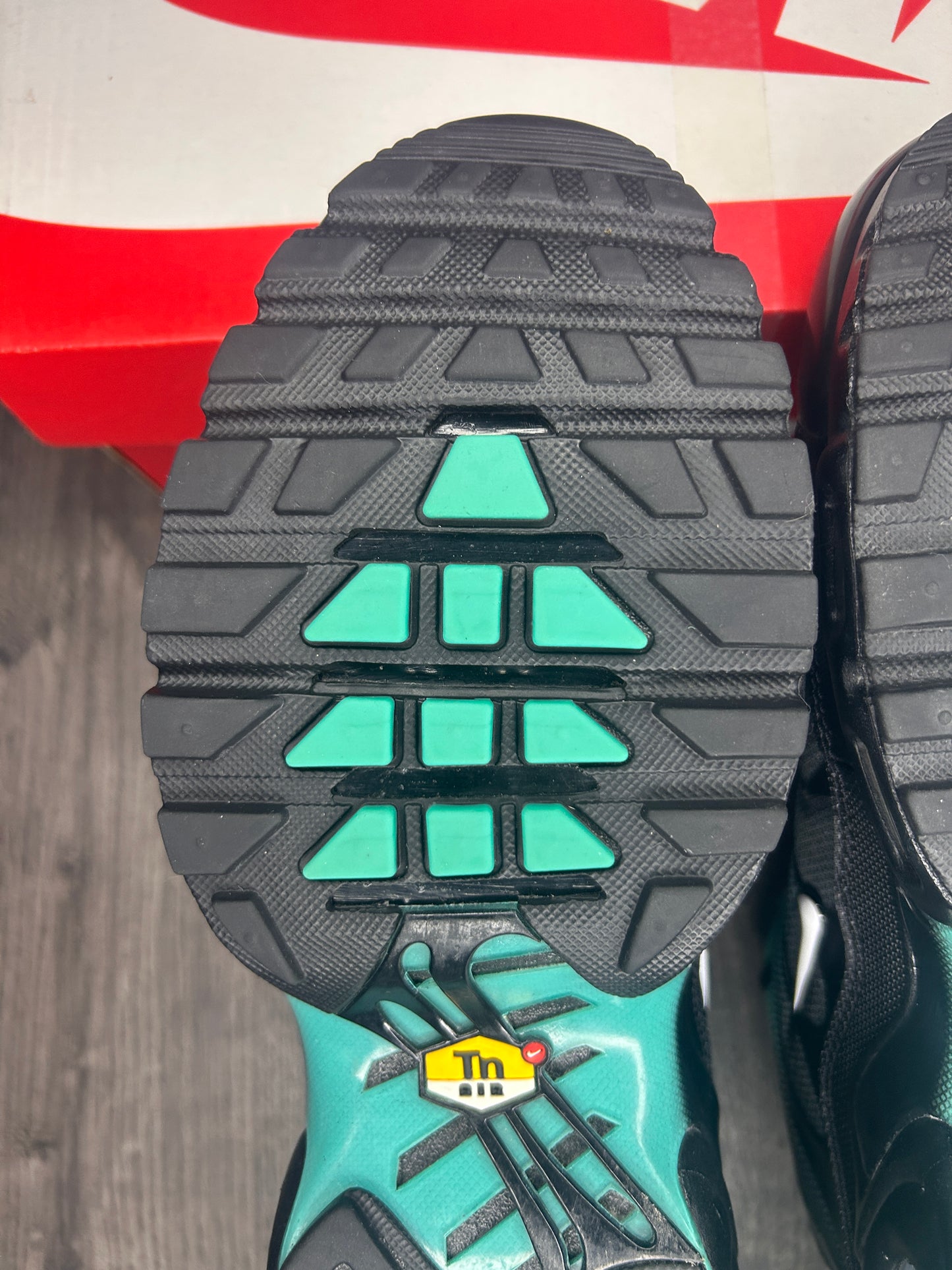 Nike Air Max Plus TN Aquafade