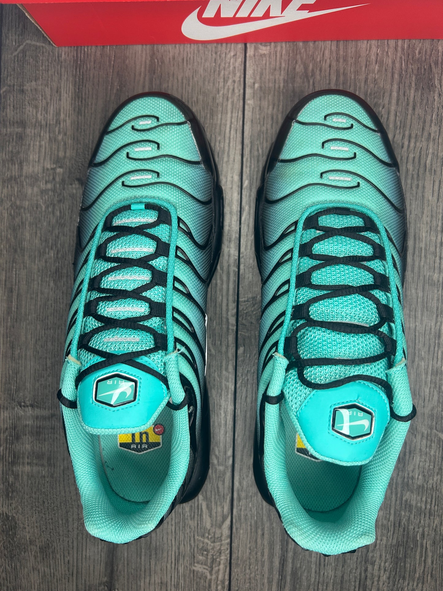 Nike Air Max Plus TN Aqua Fade