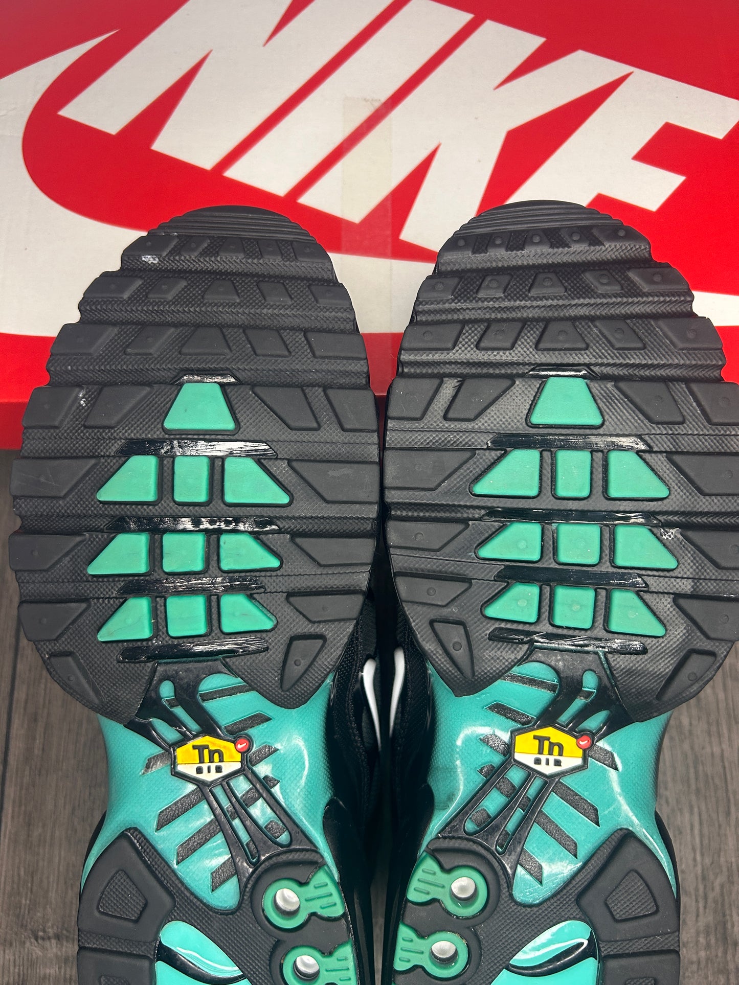 Nike Air Max Plus TN Aqua Fade