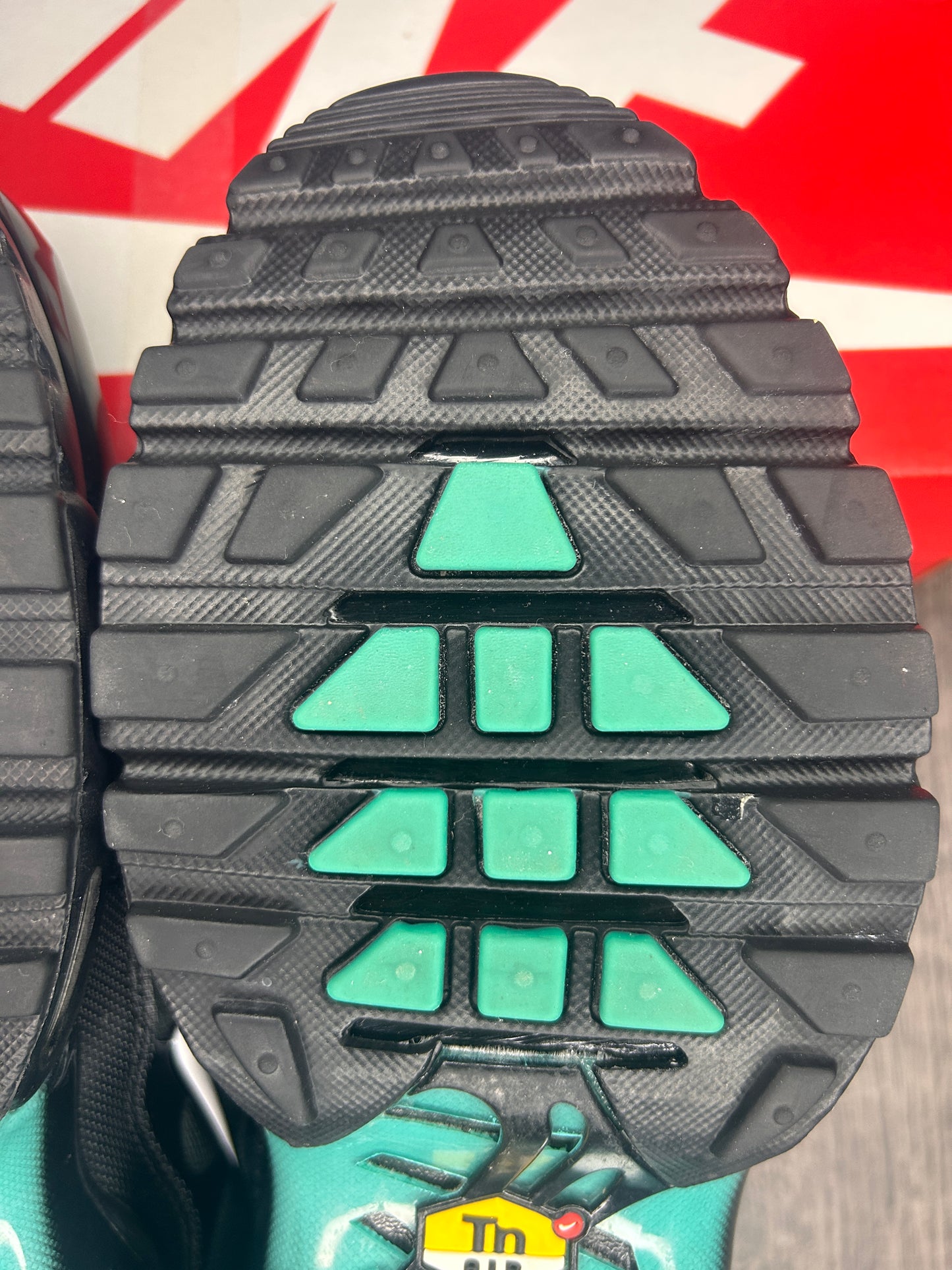 Nike Air Max Plus TN Aqua Fade