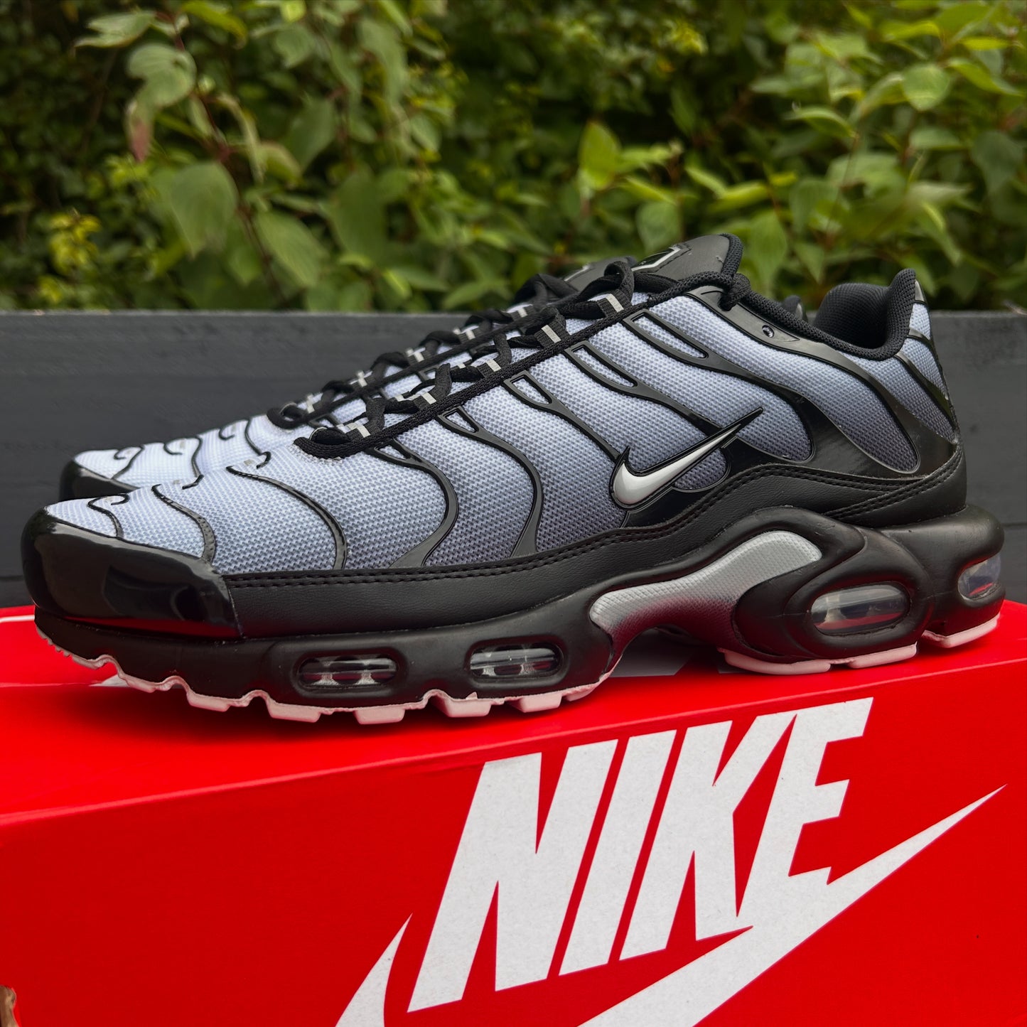 Nike Air Max Plus TN Wolf Grey’s