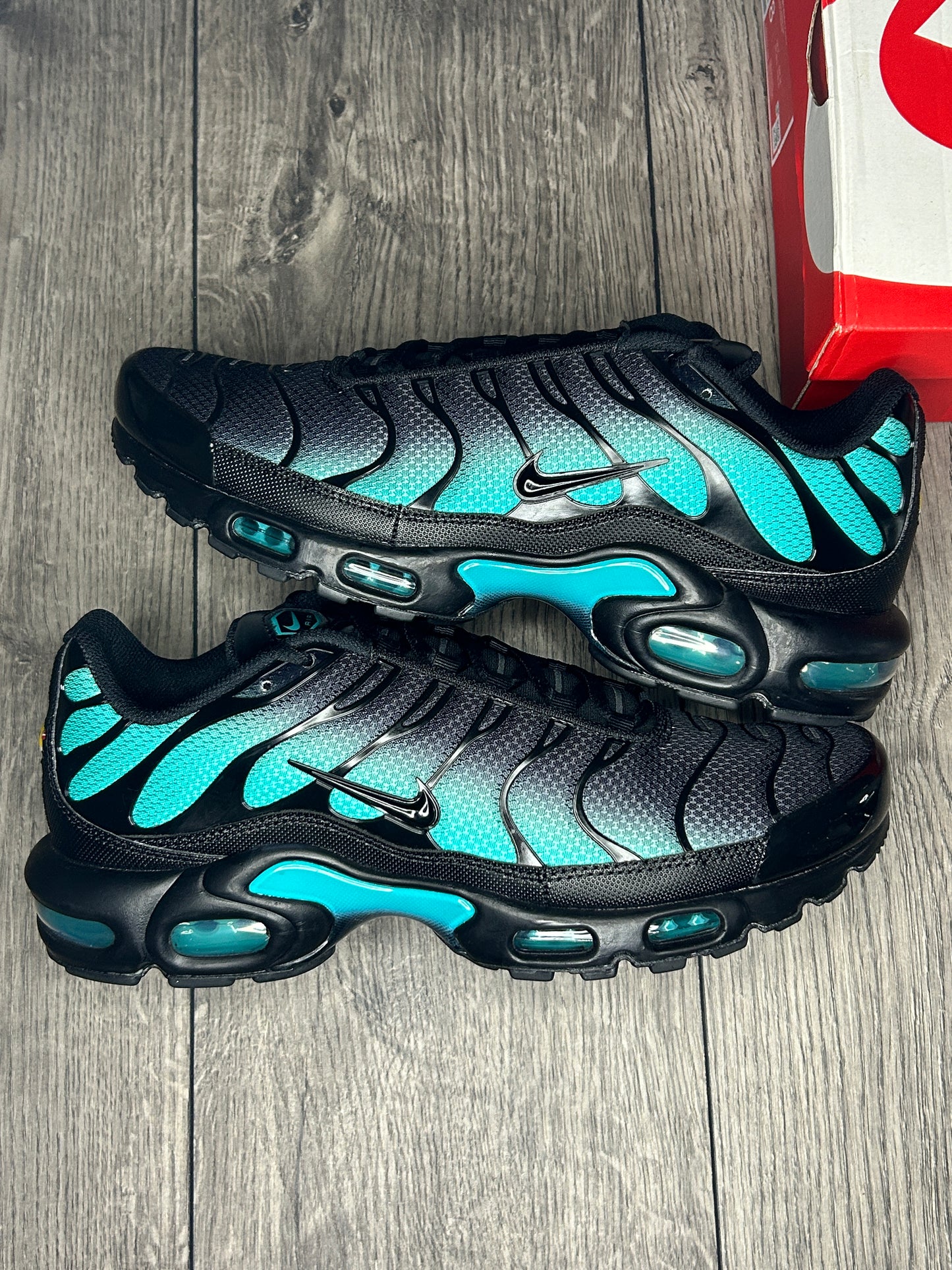 Nike Air Max TN Dusty Cactus