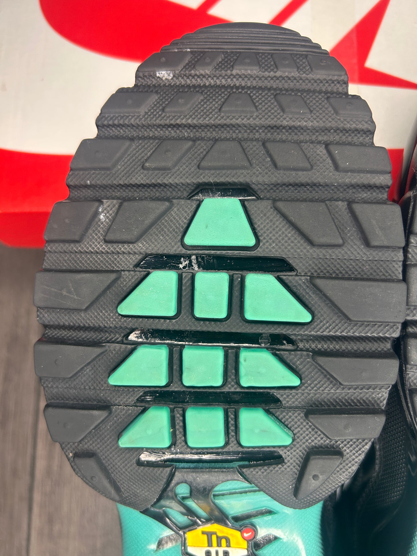 Nike Air Max Plus TN Aqua Fade