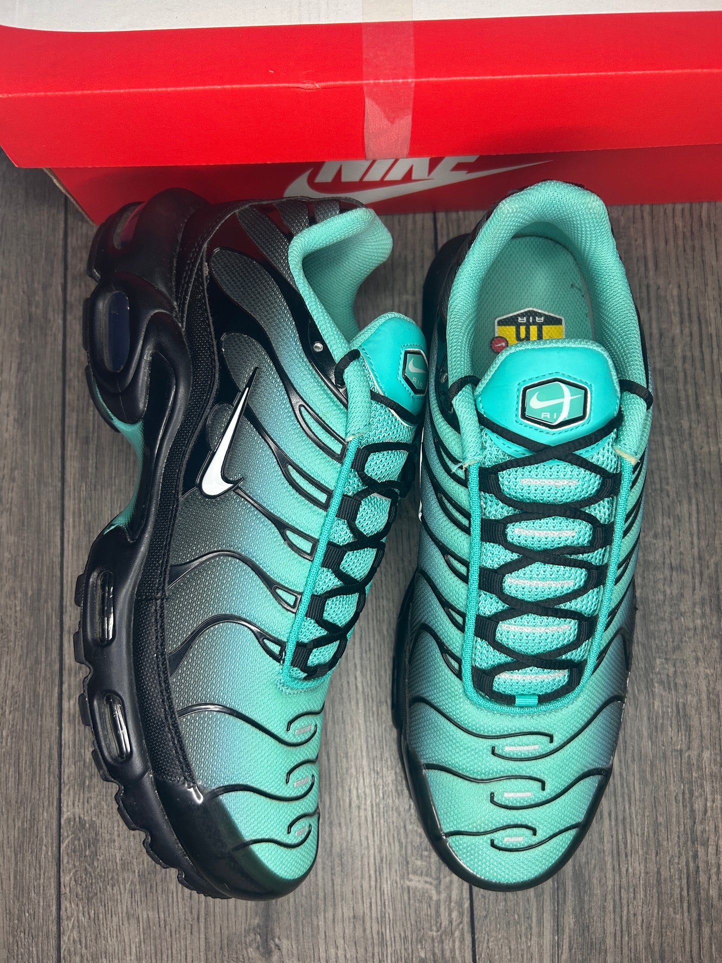 Nike Air Max Plus TN Aqua Fade