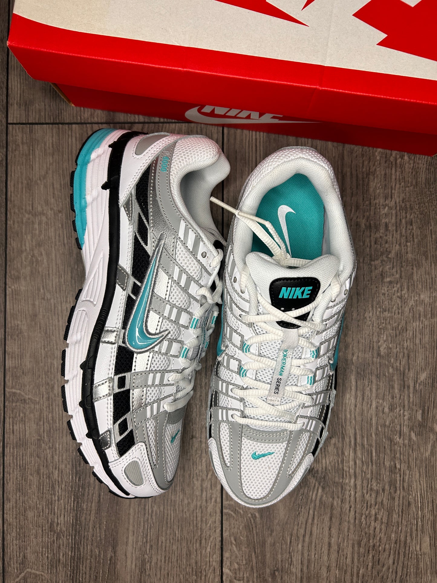 Nike P-6000 Dusty Cactus