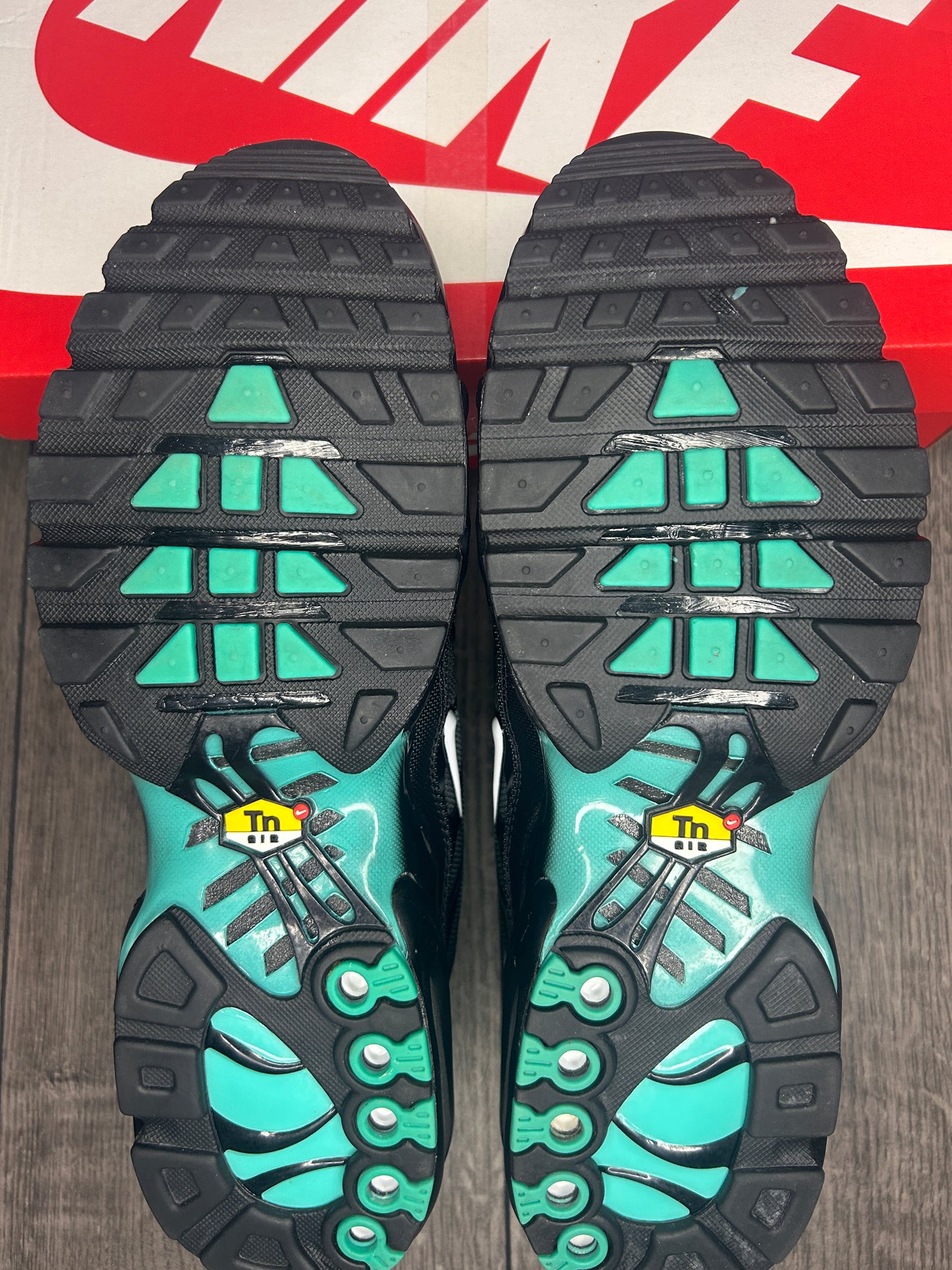 Nike Air Max Plus TN Aquafade