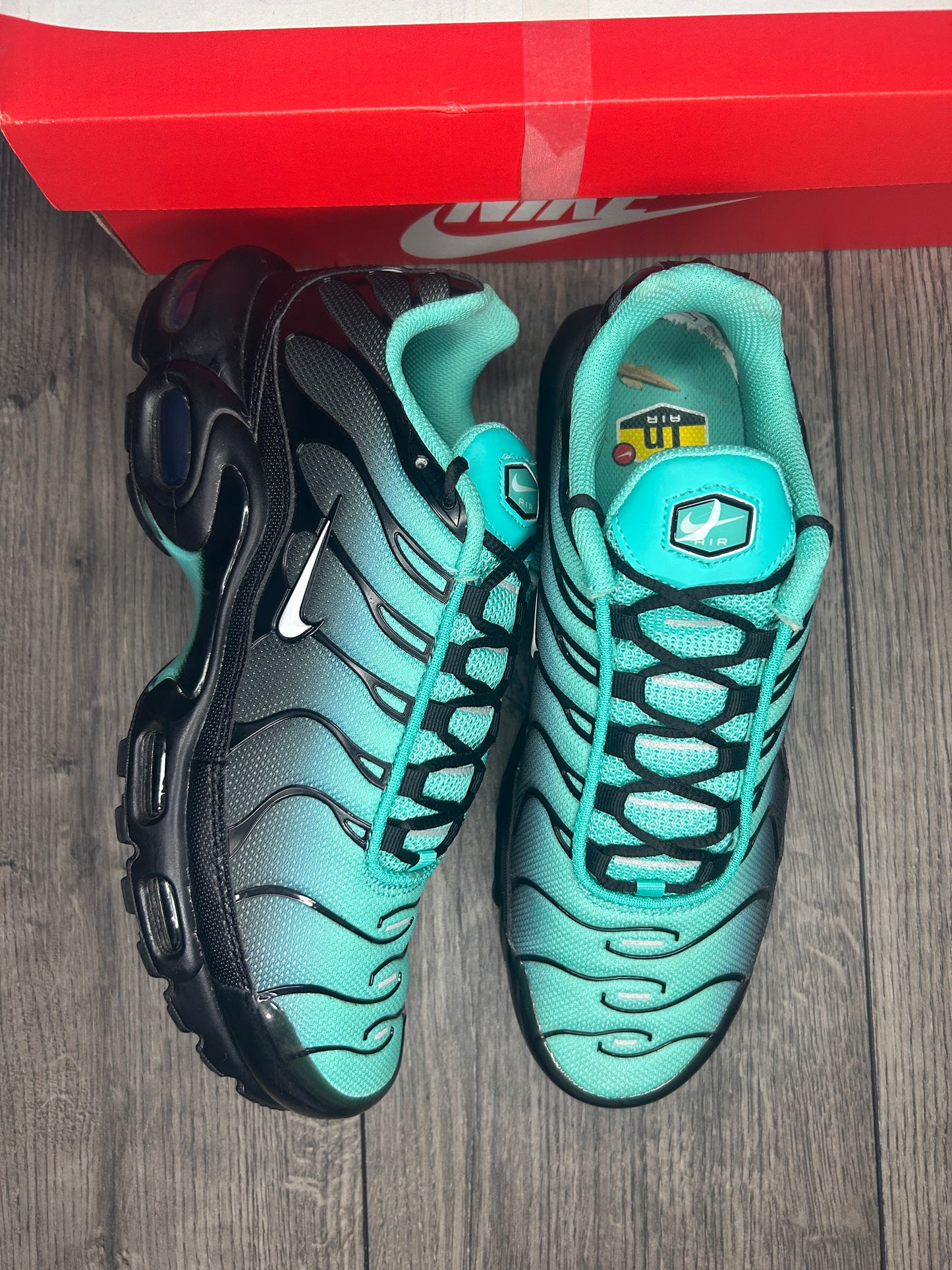 Nike Air Max Plus TN Aquafade