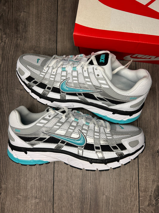 Nike P-6000 Dusty Cactus