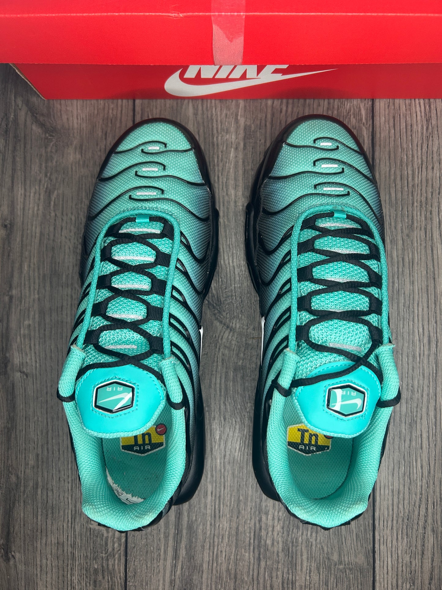 Nike Air Max Plus TN Aquafade