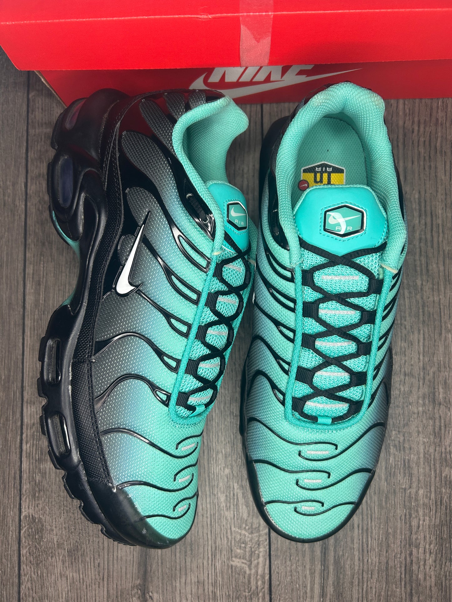 Nike Air Max Plus TN Aquafade
