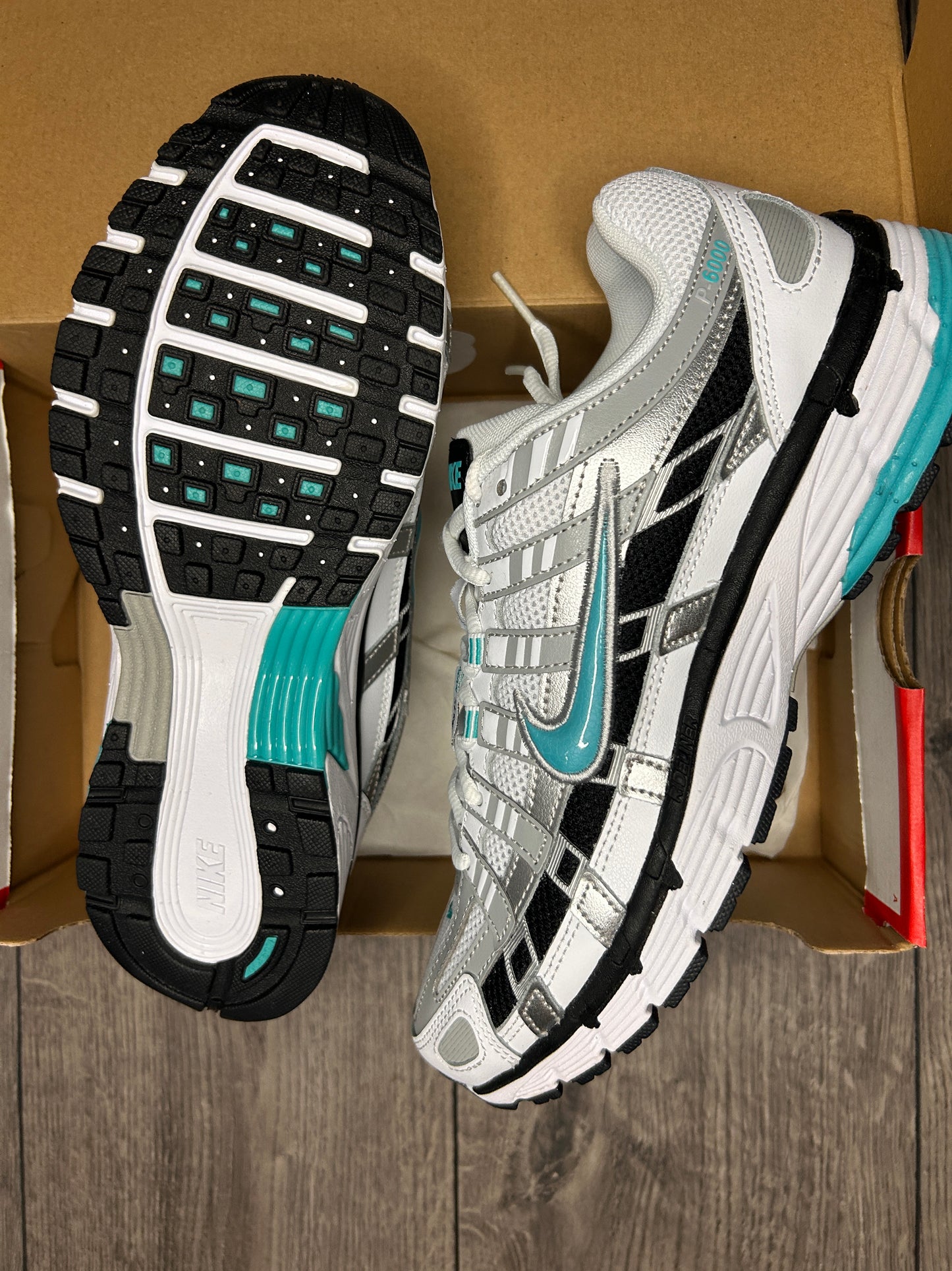Nike P-6000 Dusty Cactus
