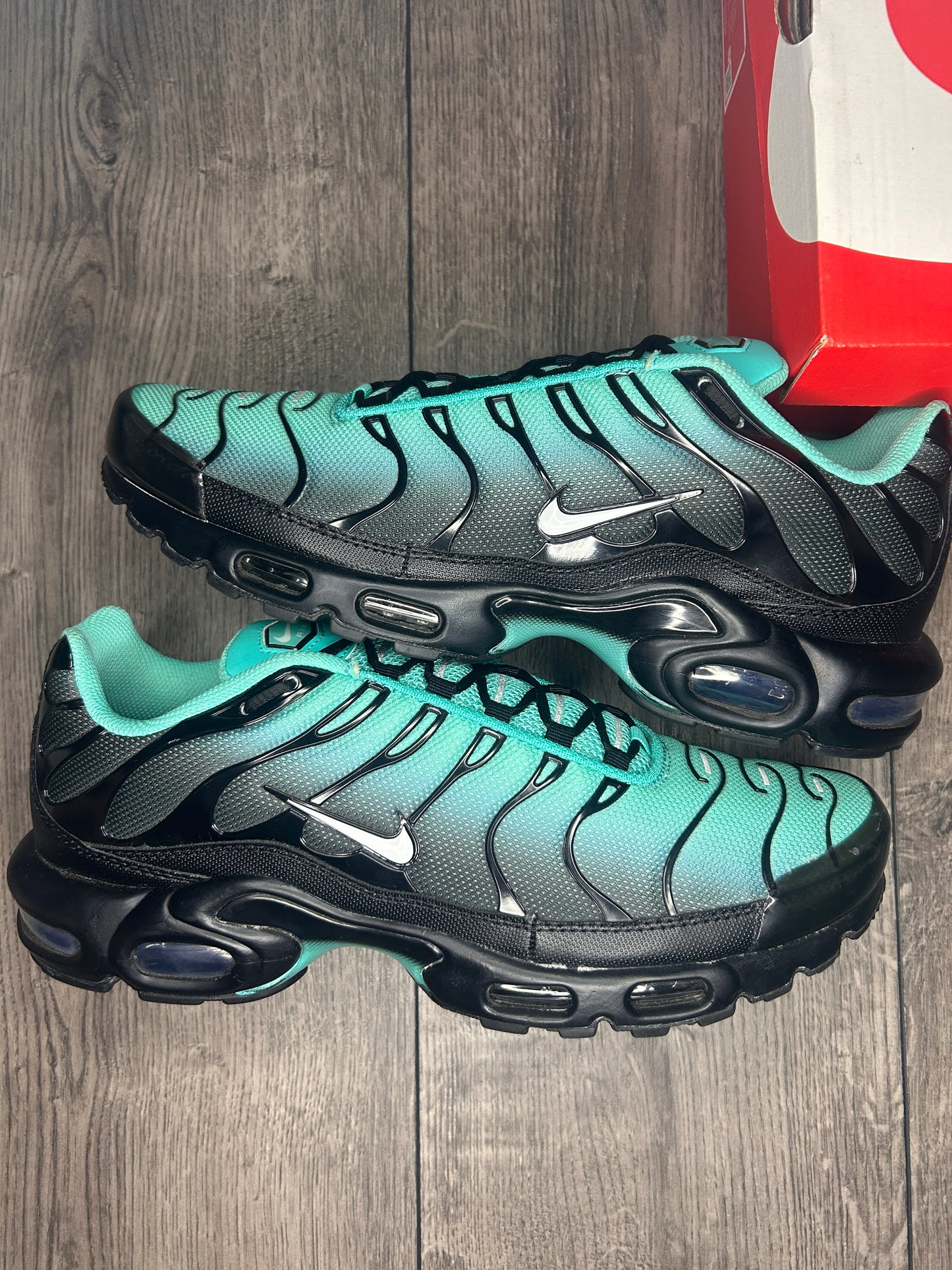 Nike Air Max Plus TN Aquafade