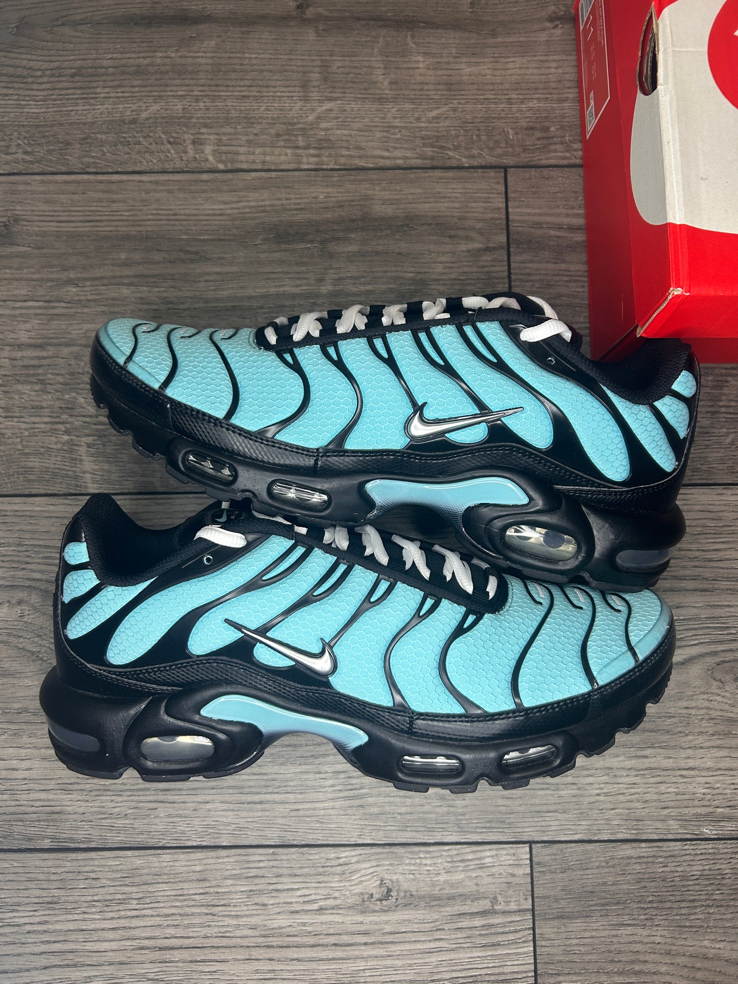 Nike Air Max Plus TN Tiffany