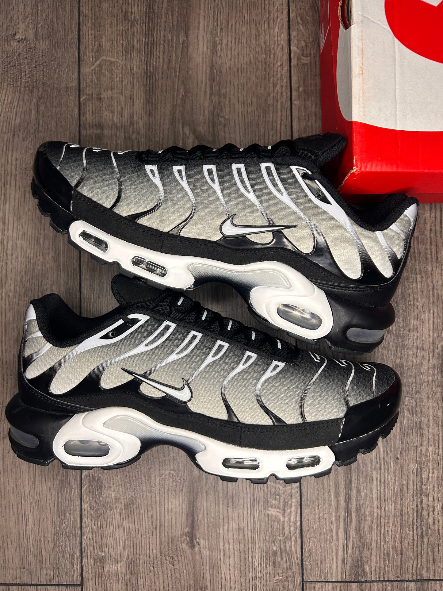 Nike Air Max Plus TN Smokes