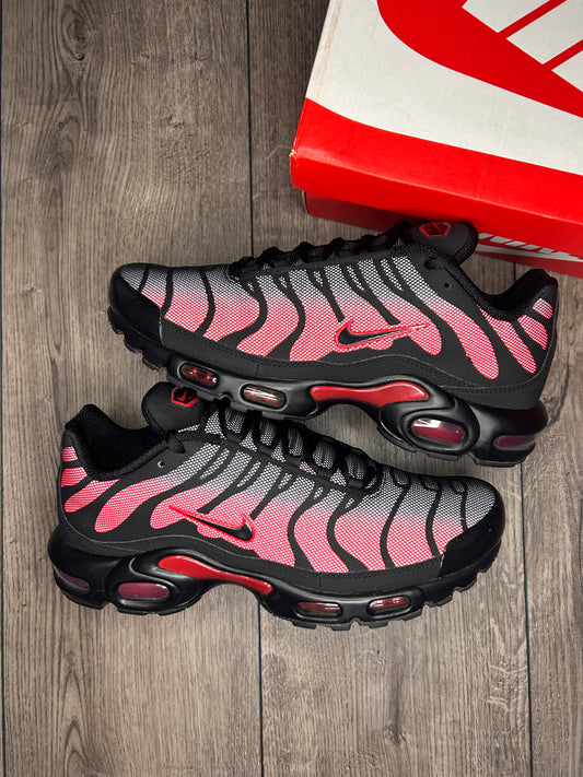 Nike Air Max Plus TN Bred Reflective (Used)