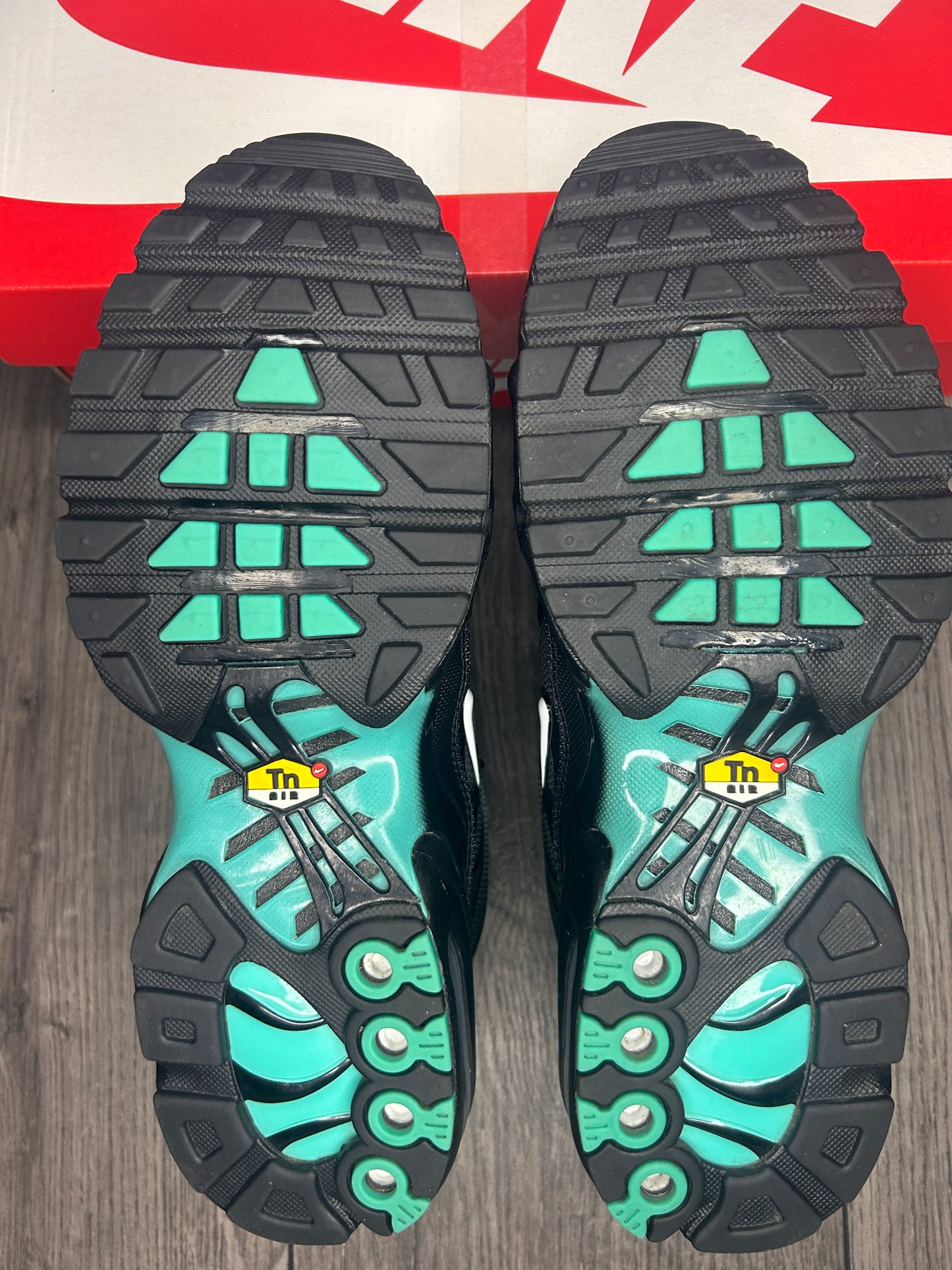 Nike Air Max Plus TN Aquafade